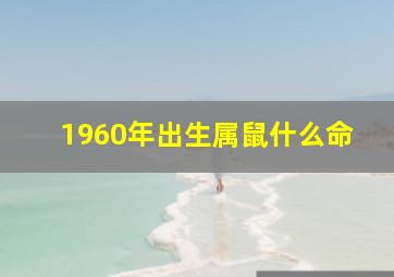 1960年出生属鼠什么命