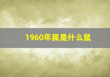 1960年属是什么鼠