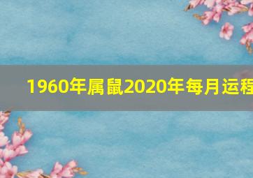 1960年属鼠2020年每月运程