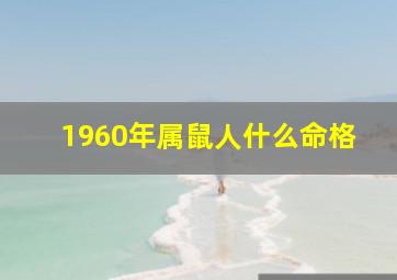 1960年属鼠人什么命格