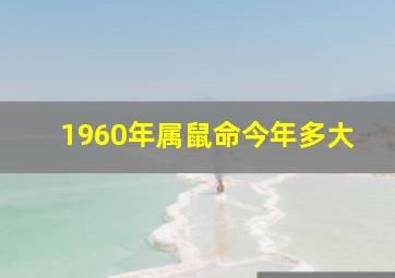 1960年属鼠命今年多大