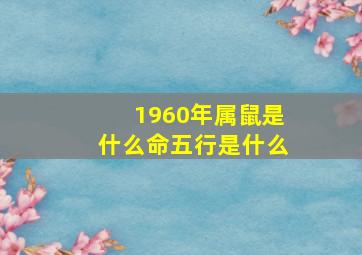 1960年属鼠是什么命五行是什么