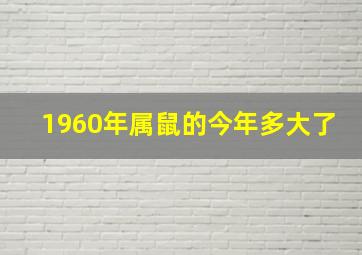 1960年属鼠的今年多大了