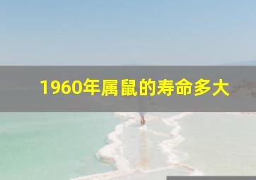 1960年属鼠的寿命多大