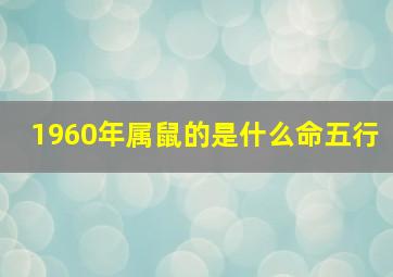 1960年属鼠的是什么命五行