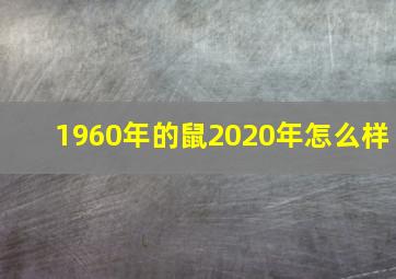 1960年的鼠2020年怎么样