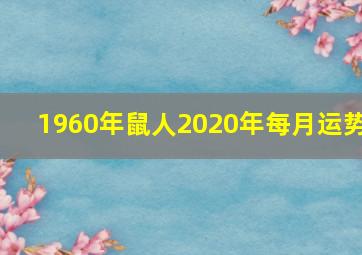 1960年鼠人2020年每月运势