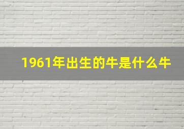 1961年出生的牛是什么牛