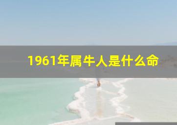 1961年属牛人是什么命