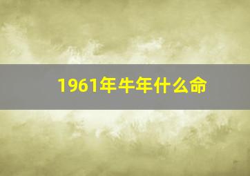 1961年牛年什么命