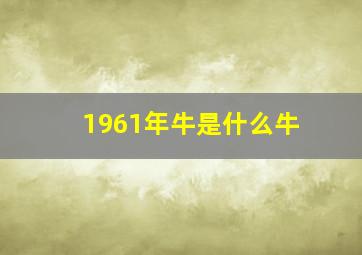 1961年牛是什么牛