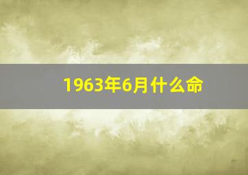 1963年6月什么命