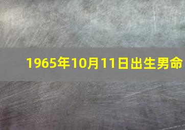 1965年10月11日出生男命