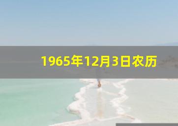 1965年12月3日农历