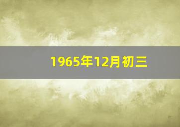 1965年12月初三