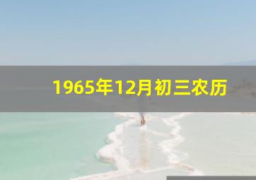 1965年12月初三农历