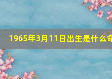 1965年3月11日出生是什么命