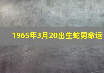 1965年3月20出生蛇男命运