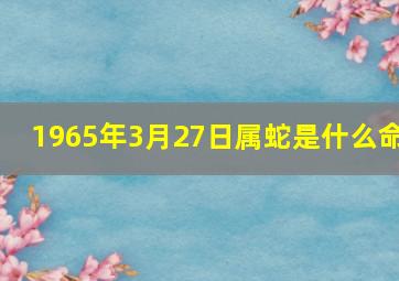 1965年3月27日属蛇是什么命