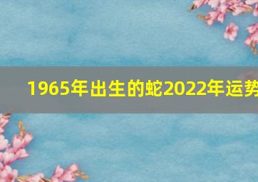 1965年出生的蛇2022年运势