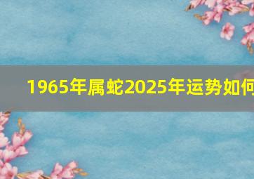 1965年属蛇2025年运势如何