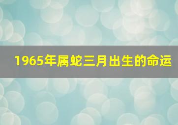 1965年属蛇三月出生的命运