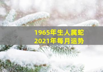 1965年生人属蛇2021年每月运势