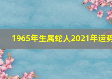 1965年生属蛇人2021年运势