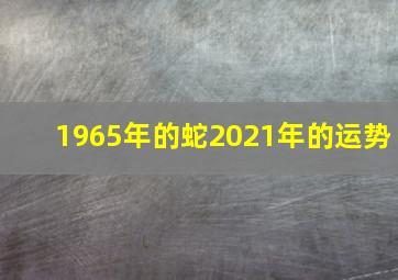 1965年的蛇2021年的运势