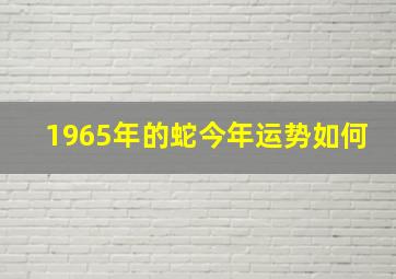 1965年的蛇今年运势如何