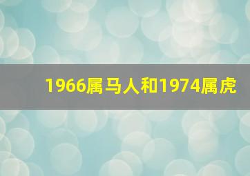 1966属马人和1974属虎