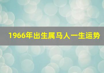 1966年出生属马人一生运势