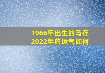 1966年出生的马在2022年的运气如何