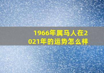 1966年属马人在2021年的运势怎么样