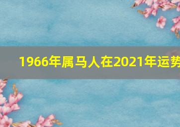 1966年属马人在2021年运势