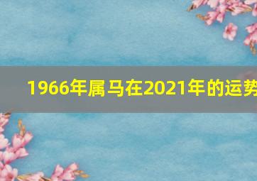 1966年属马在2021年的运势