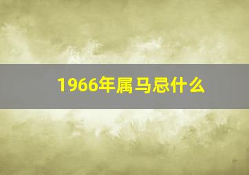 1966年属马忌什么