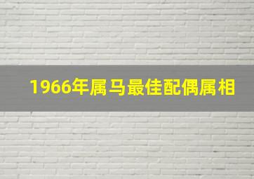 1966年属马最佳配偶属相