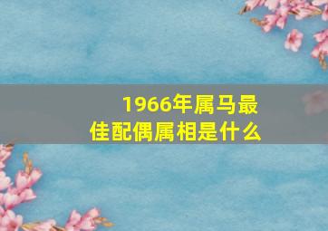 1966年属马最佳配偶属相是什么