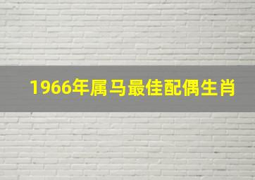 1966年属马最佳配偶生肖