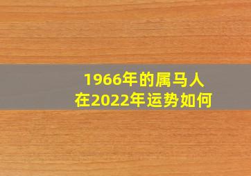 1966年的属马人在2022年运势如何