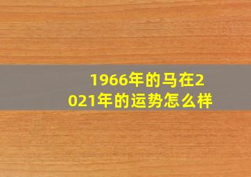 1966年的马在2021年的运势怎么样