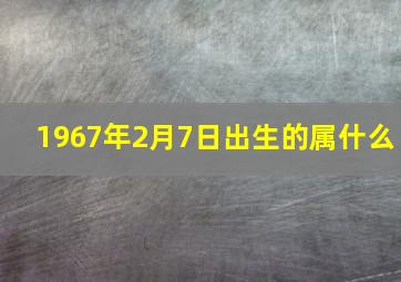 1967年2月7日出生的属什么