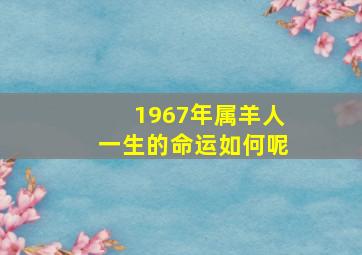 1967年属羊人一生的命运如何呢