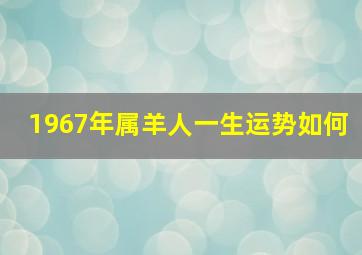 1967年属羊人一生运势如何