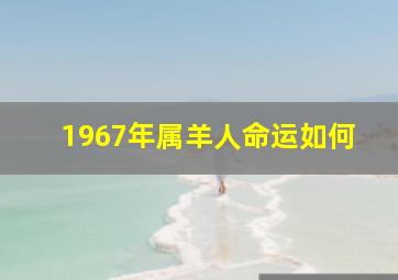 1967年属羊人命运如何