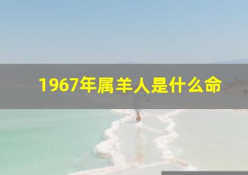 1967年属羊人是什么命