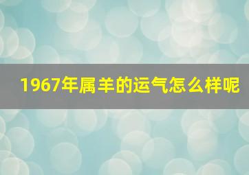 1967年属羊的运气怎么样呢