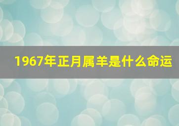 1967年正月属羊是什么命运