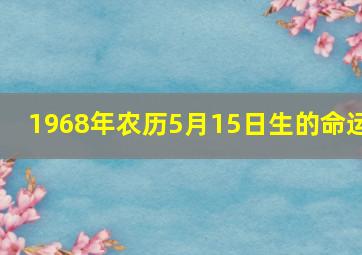 1968年农历5月15日生的命运